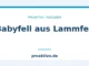 Babyfell aus Lammfell