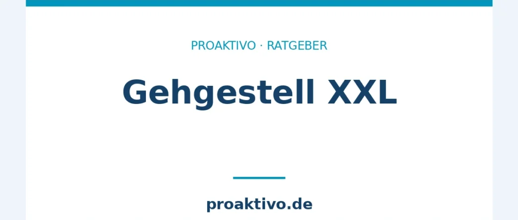 Gehgestell XXL