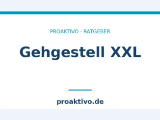 Gehgestell XXL