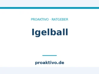 Igelball