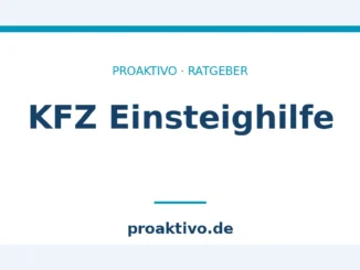 KFZ Einsteighilfe
