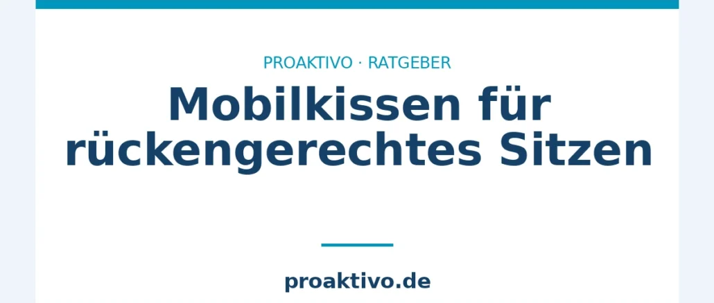 Mobilkissen für rückengerechtes Sitzen