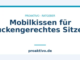 Mobilkissen für rückengerechtes Sitzen