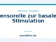 Sensorolle zur basalen Stimulation